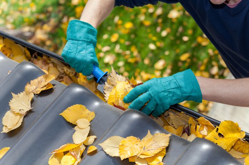 Clean Gutter Covers After Autumn